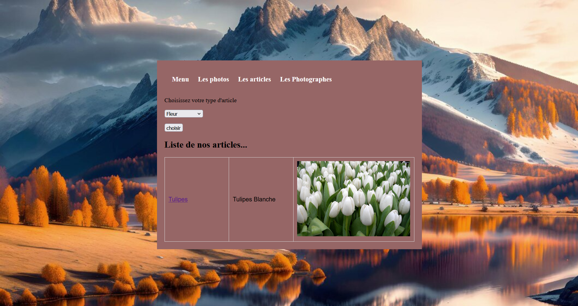 Page liste de photos