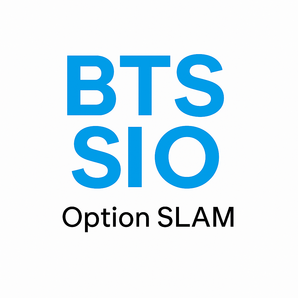 Logo BTS SIO