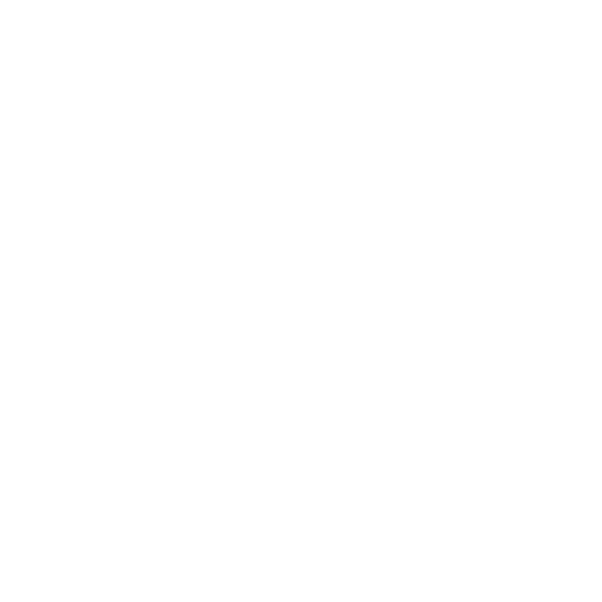 Portfolio Logo